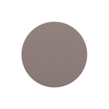 Sanding Disc F.19